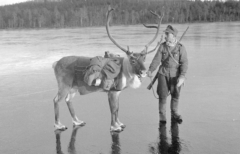 Солдат с оленем на льду, 26 октября 1941 год - Финляндия, Вторая мировая война